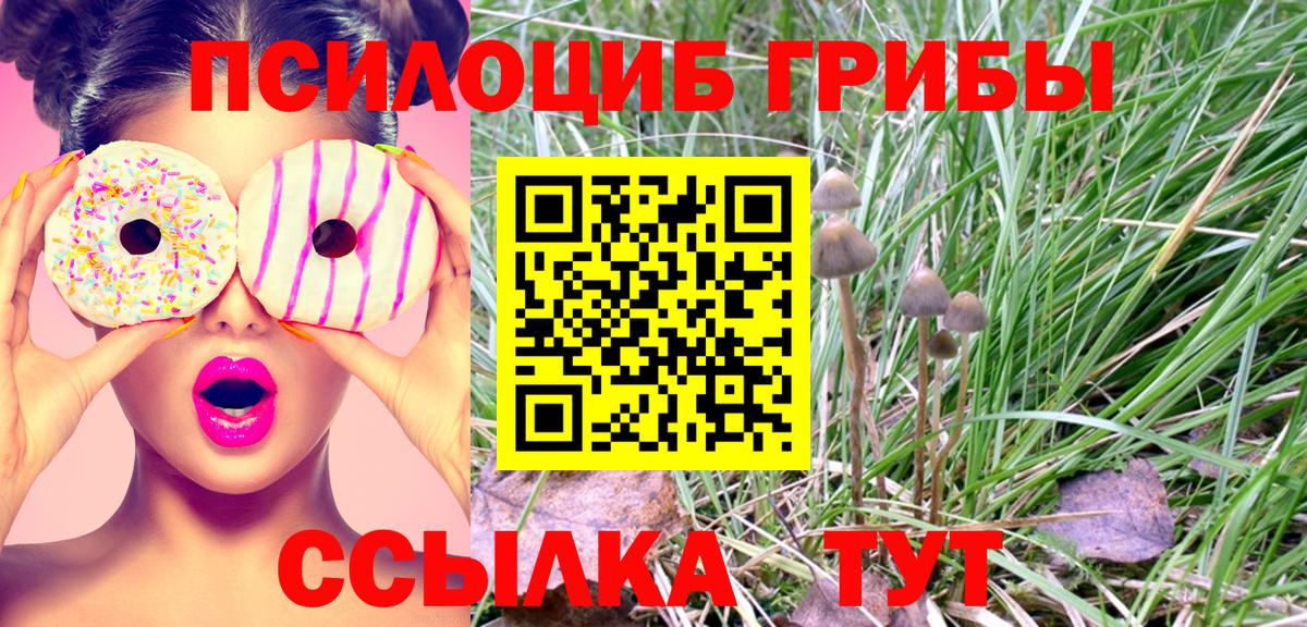 Дубна  где купить наркоту  Галлюциногенные грибы GOLDEN TEACHER  Вход с VPN  Галлюциногенные грибы Cubensis 